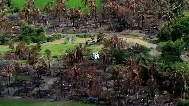 রাখাইনে রোহিঙ্গাদের জমিতে বন্দিশিবির-সামরিক ঘাঁটি বানাচ্ছে আরাকান আর্মি
