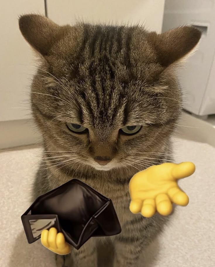WATITOTO