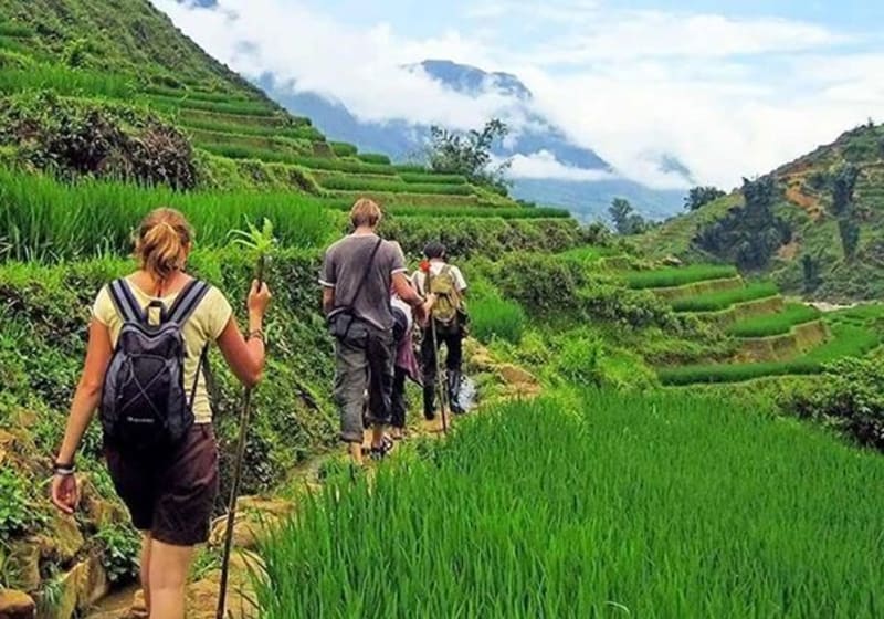 Walkers on the terrace paths between Lao Chai and Ta Van