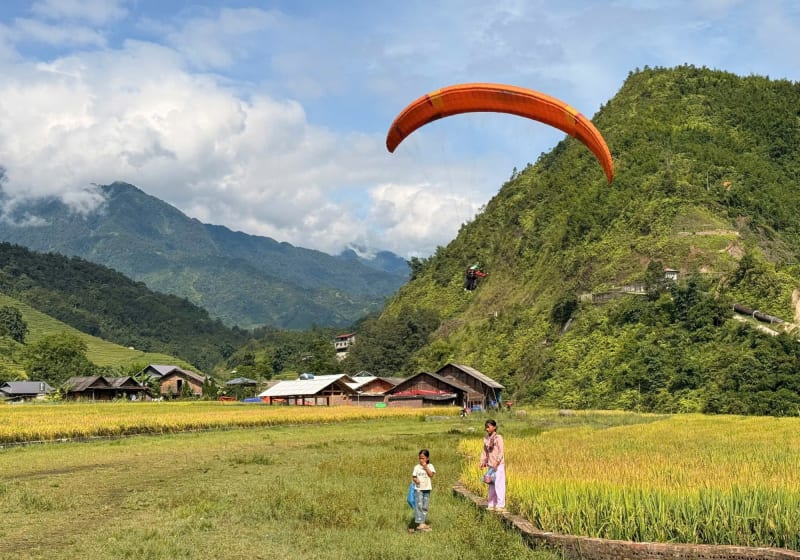 A wing coming in over the ripe rice at the landing field, with village children out to watch
