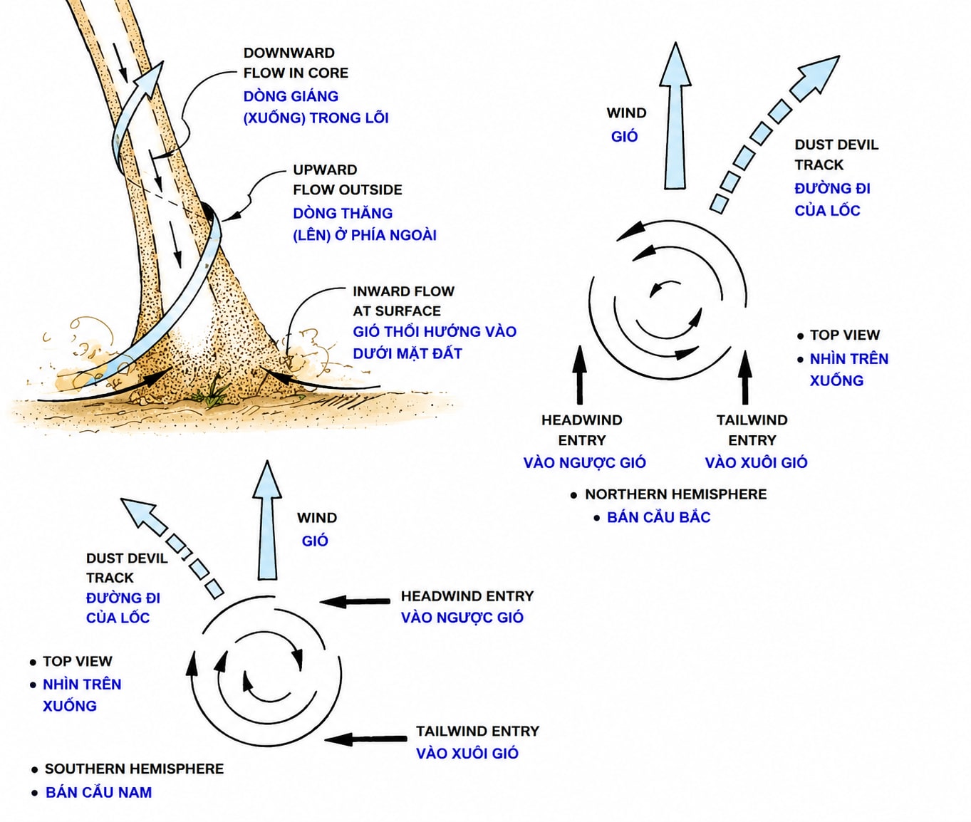 The Nature of a Dust Devil