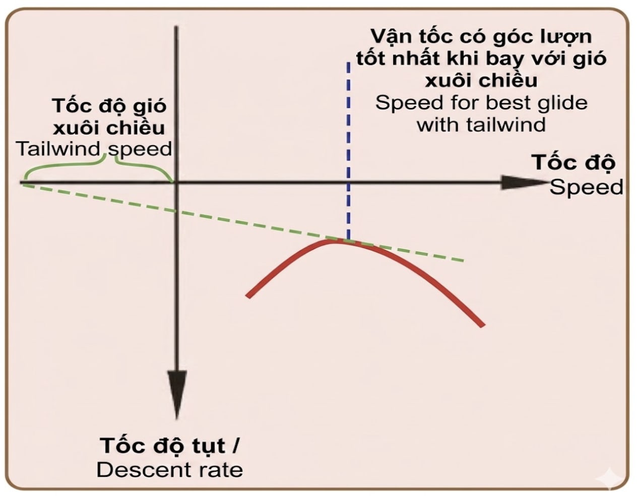 When flying with a tailwind, pilots should fly at minimum sink speed.