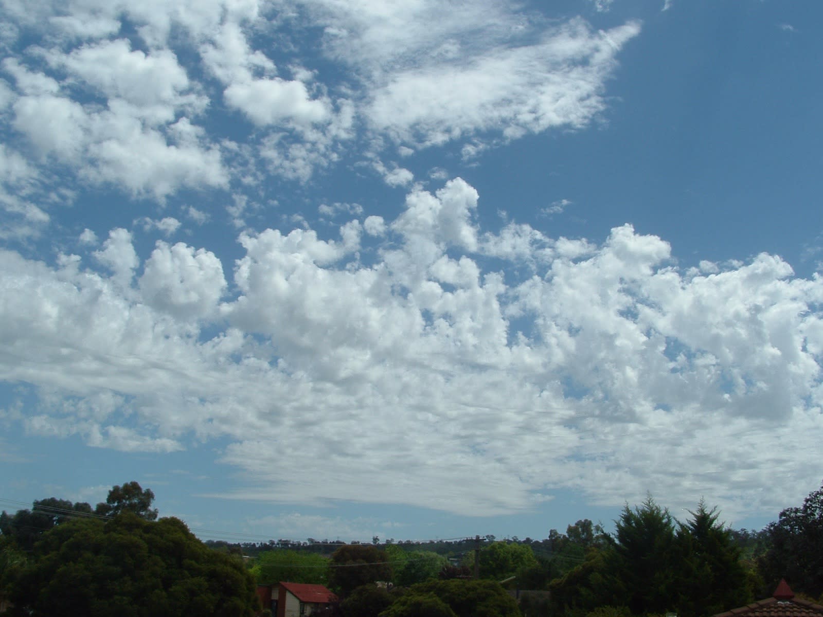 Altocumulus castellanus in the morning: unstable mid-levels, a warning of afternoon storms