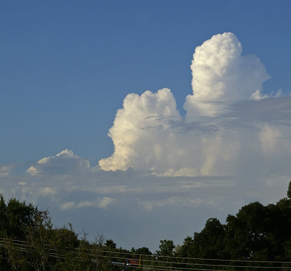 Towering cumulus congestus – strong thermals, about to over-develop; keep your distance from base