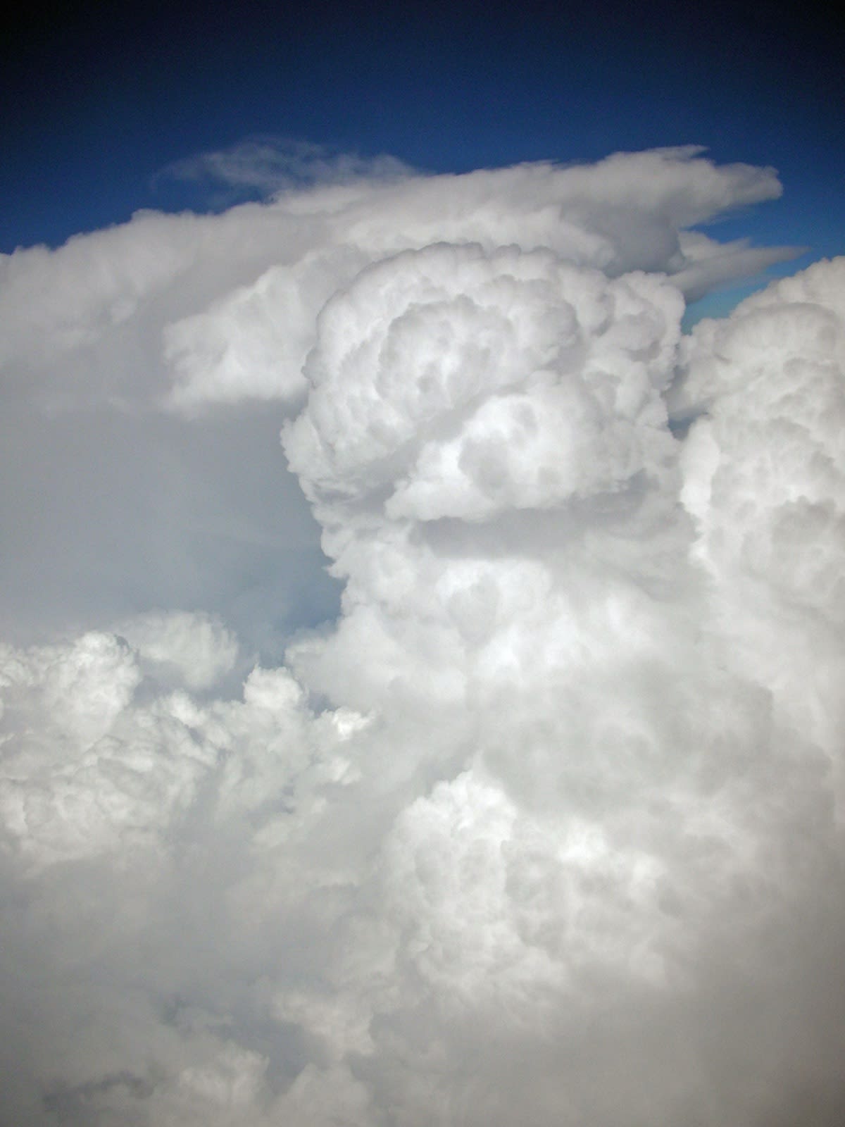 Cumulus growing into cumulonimbus calvus