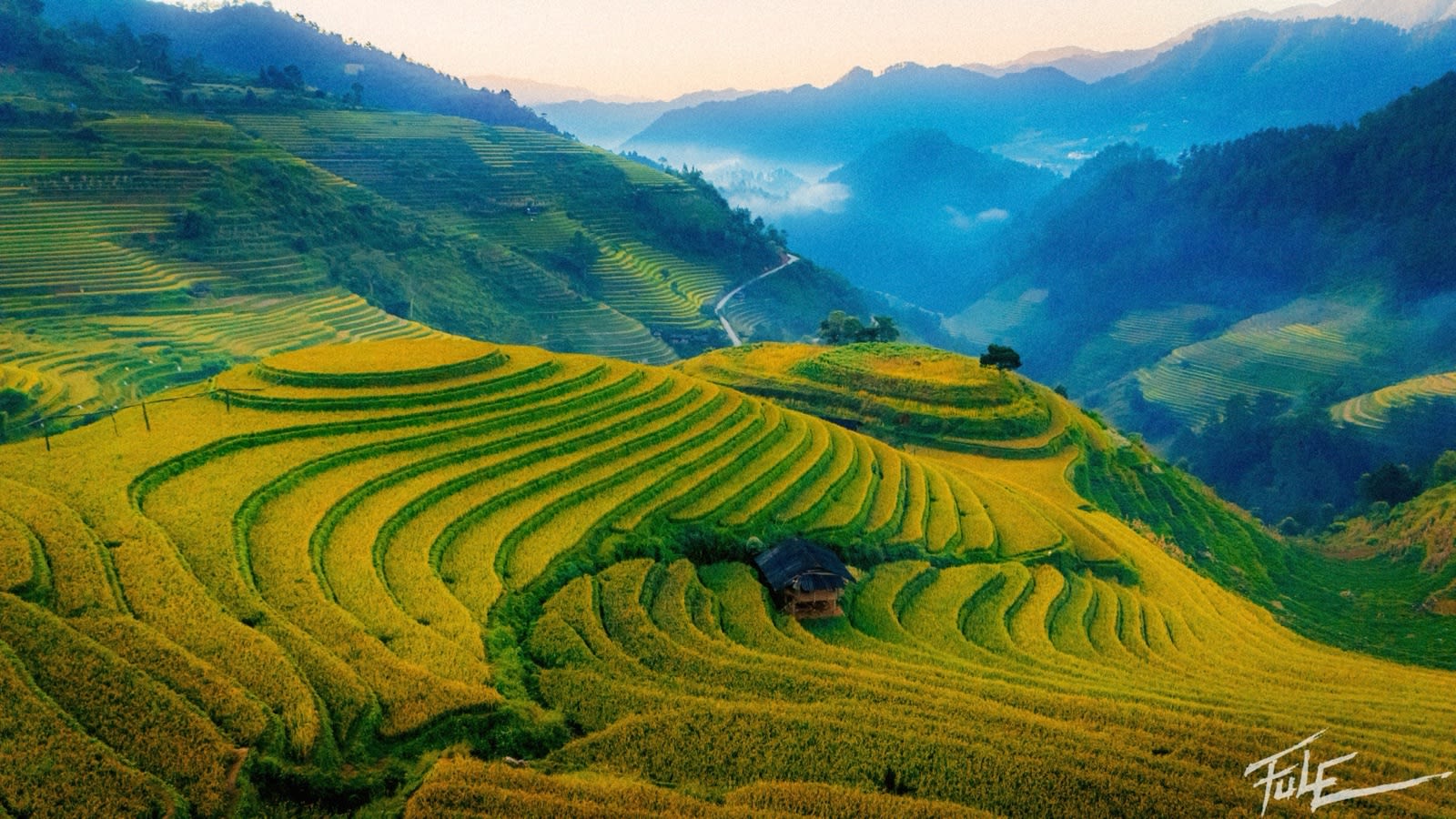 Mâm Xôi hill in La Pán Tẩn in the golden season, a rice-watch hut among the rice terraces