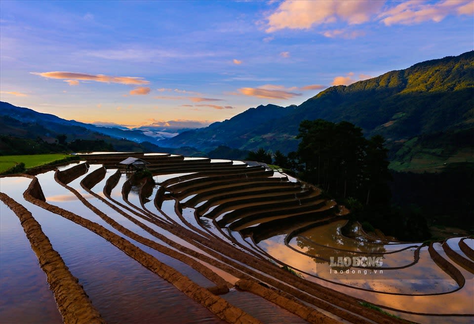 Rice terraces in the water-pouring season in La Pán Tẩn in late afternoon