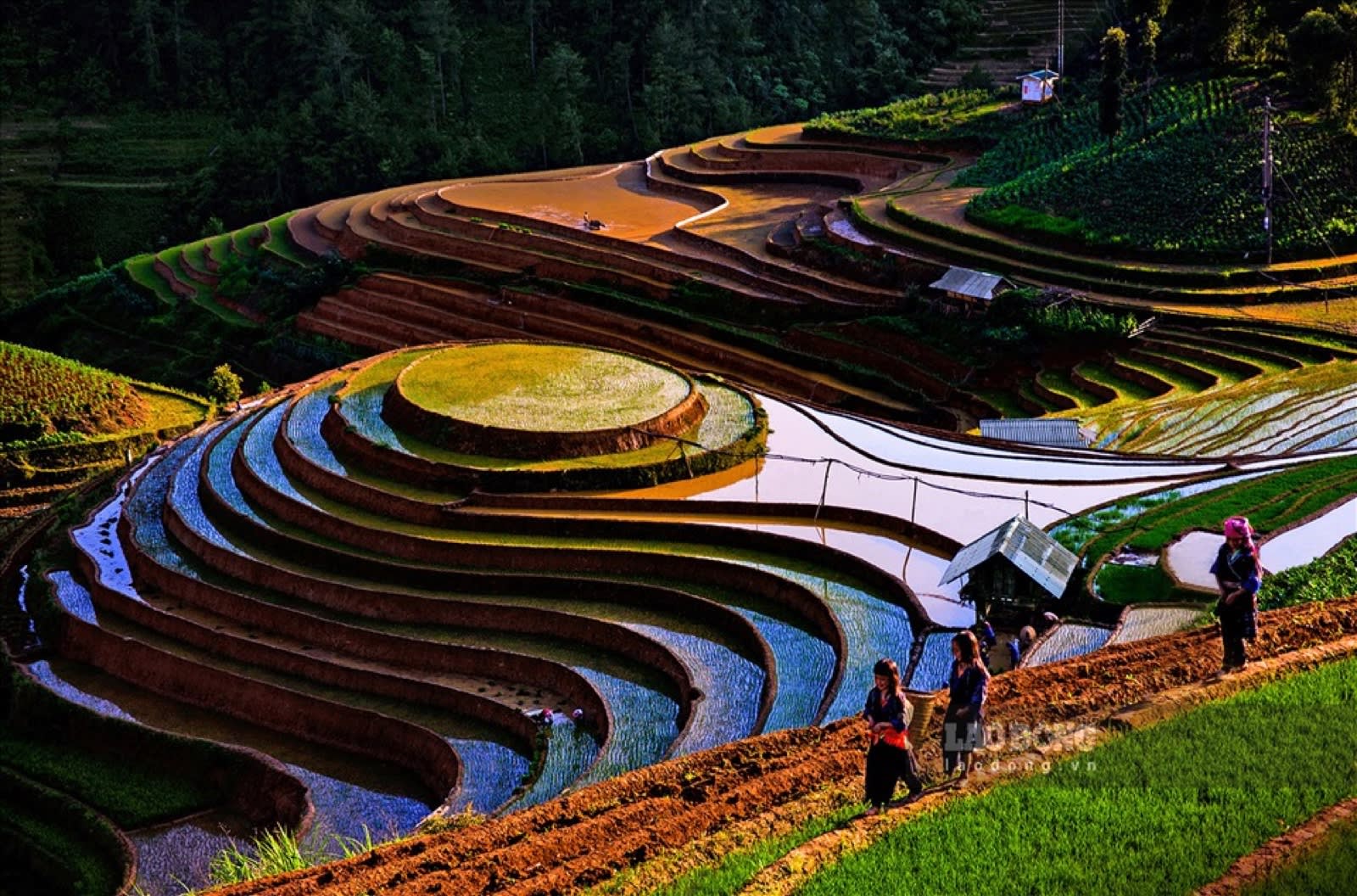 Mâm Xôi hill in the water-pouring season at sunset