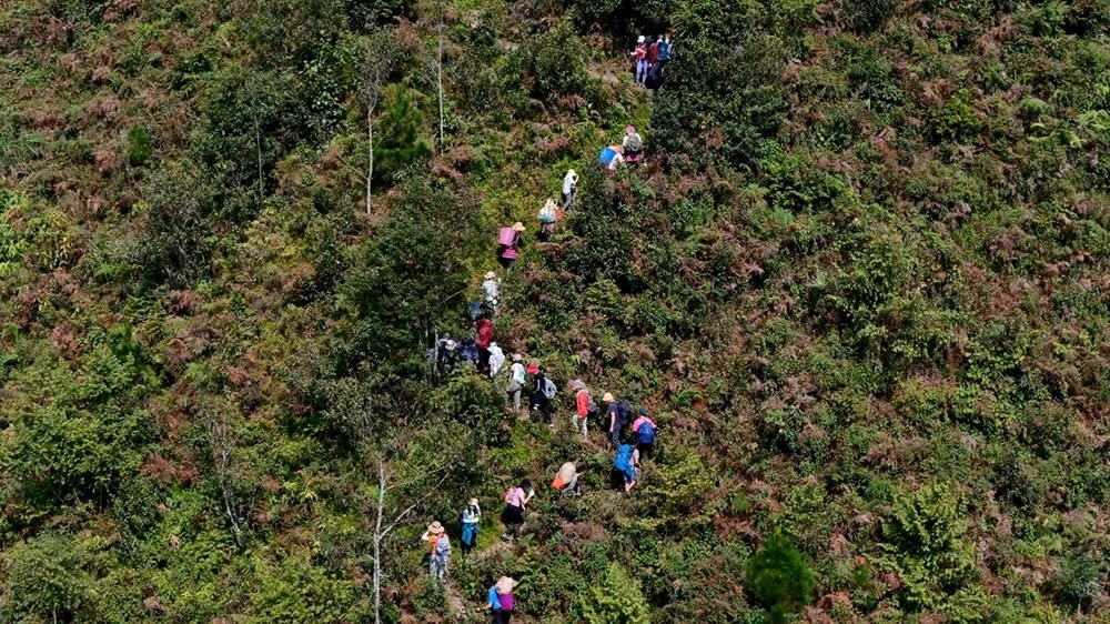 Trekkers in single file on a grassy slope on the way up Lùng Cúng