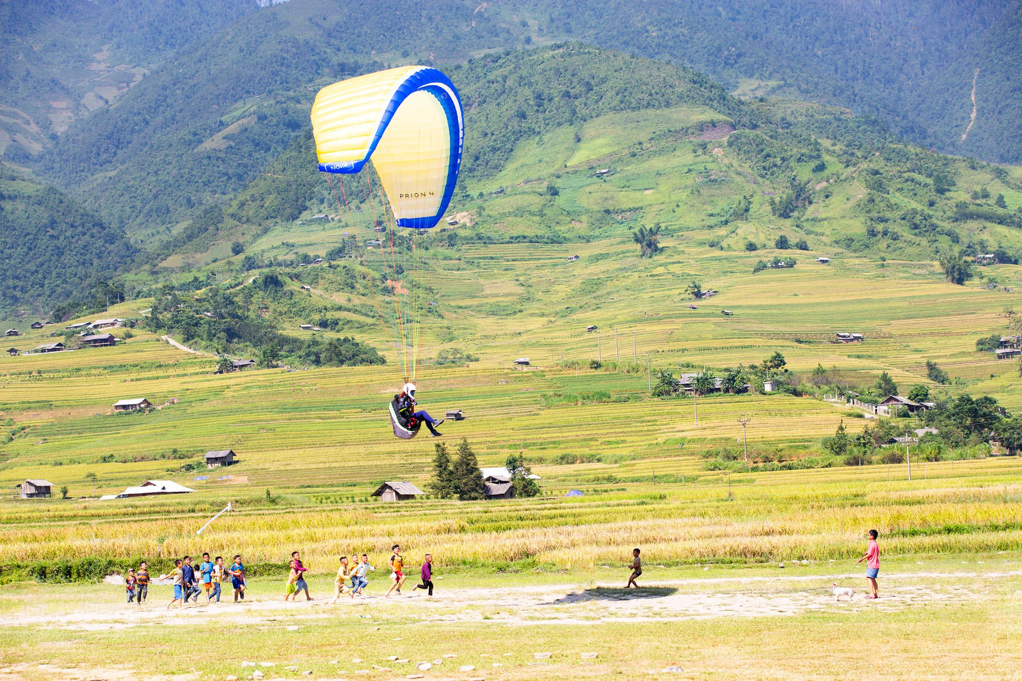 Paragliding Training Course in Hanoi, Sapa, Mu Cang Chai – Beginner Level