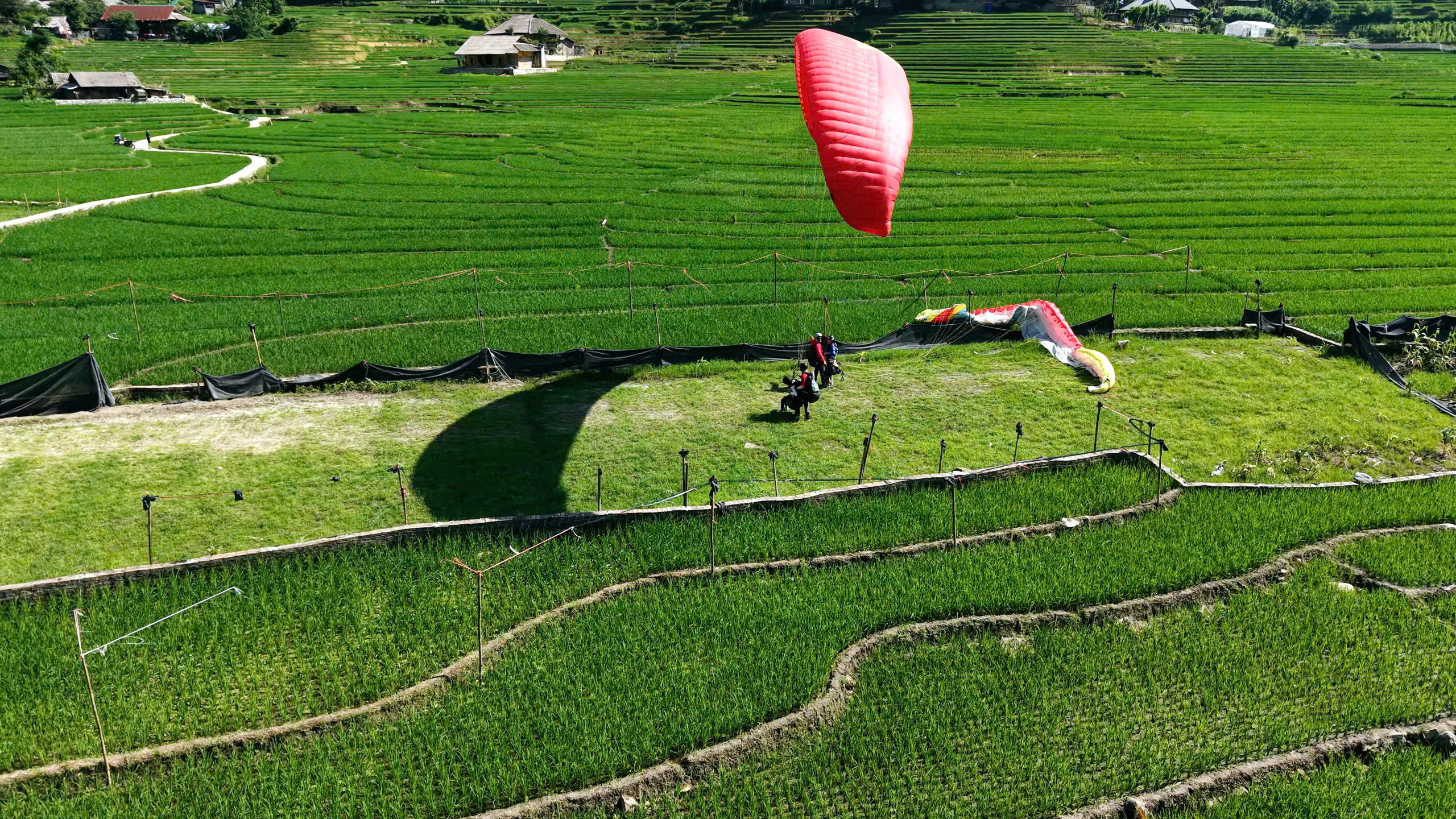 Landing at Lao Chai village during the green rice season in Sapa