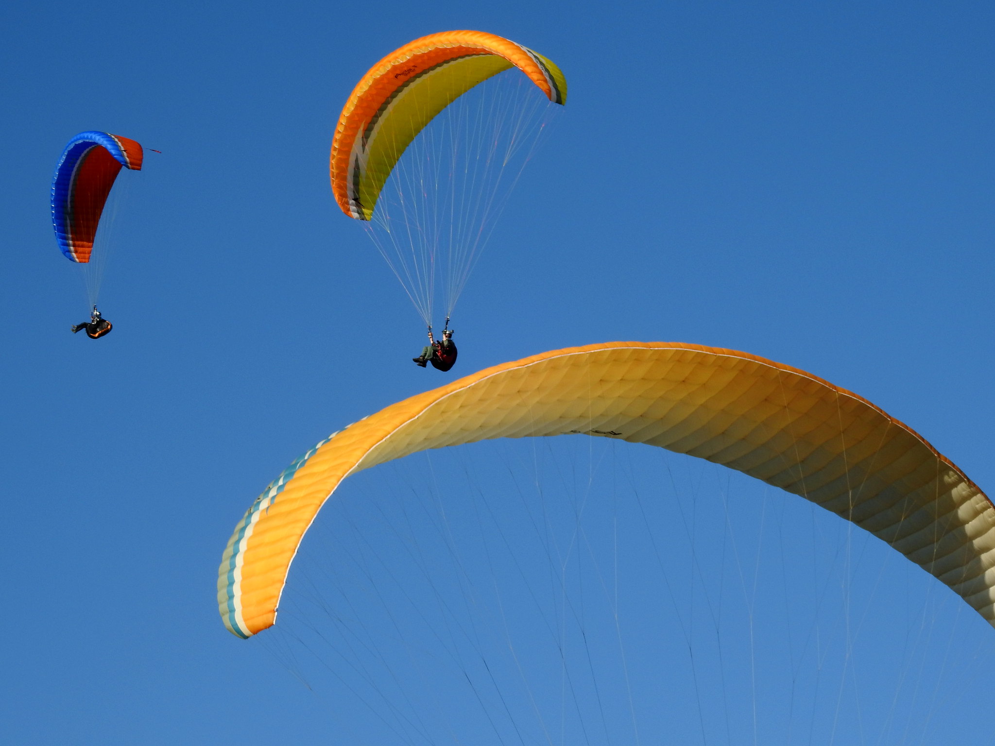 Paragliding Safety and Right-of-Way Rules: Collision Avoidance Guide for Pilots