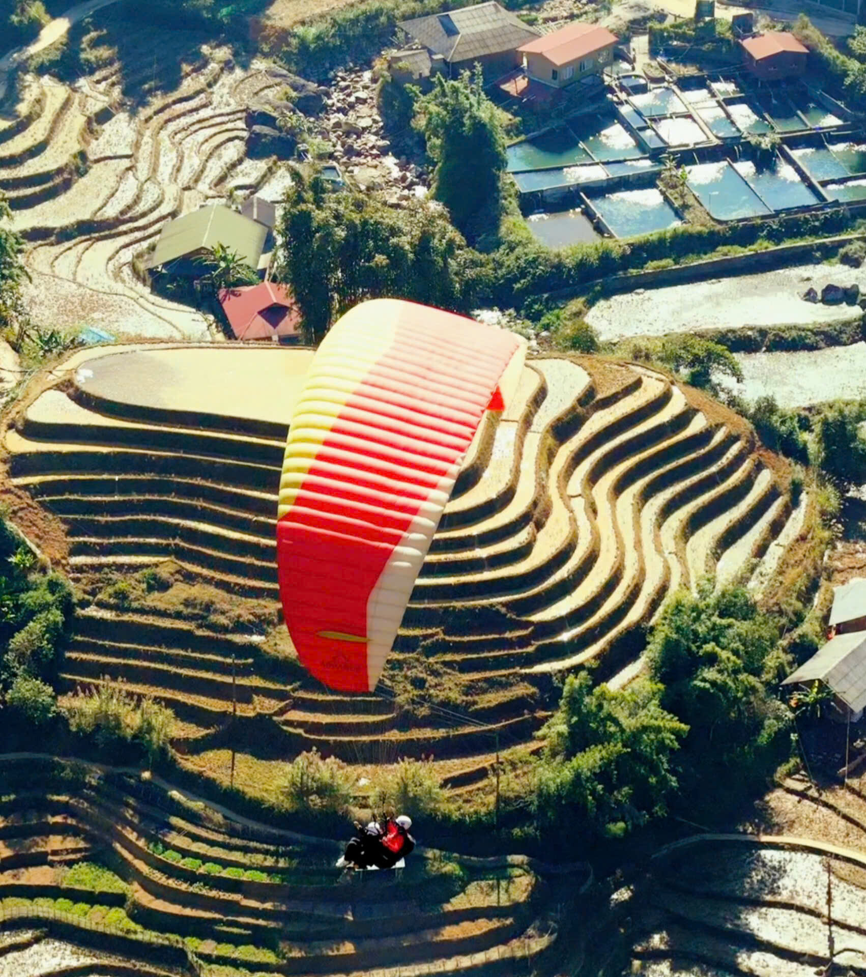 Sapa terraced fields in the water-pouring season seen from the air