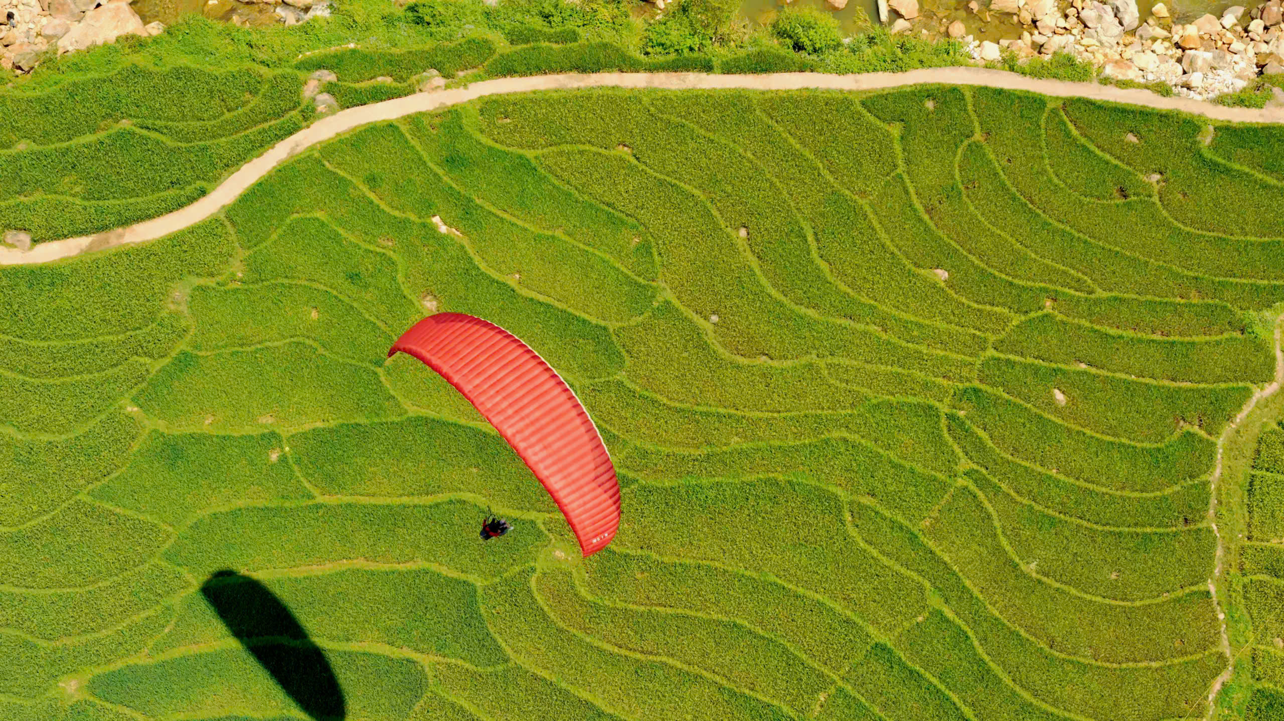 Sapa terraced fields as the rice begins to turn golden