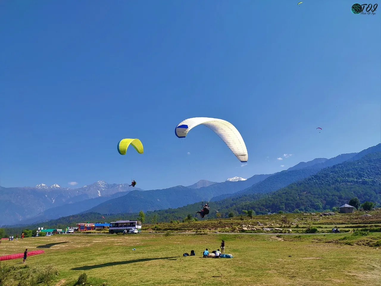Which Feels More Exciting: Paragliding or Powered Paragliding?