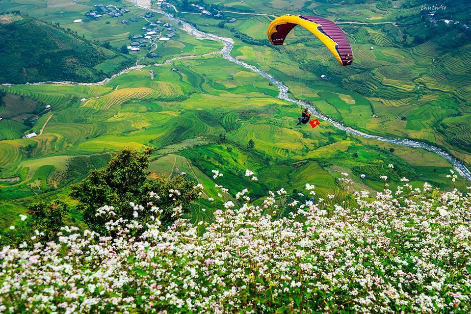 Which Feels More Exciting: Paragliding or Powered Paragliding?