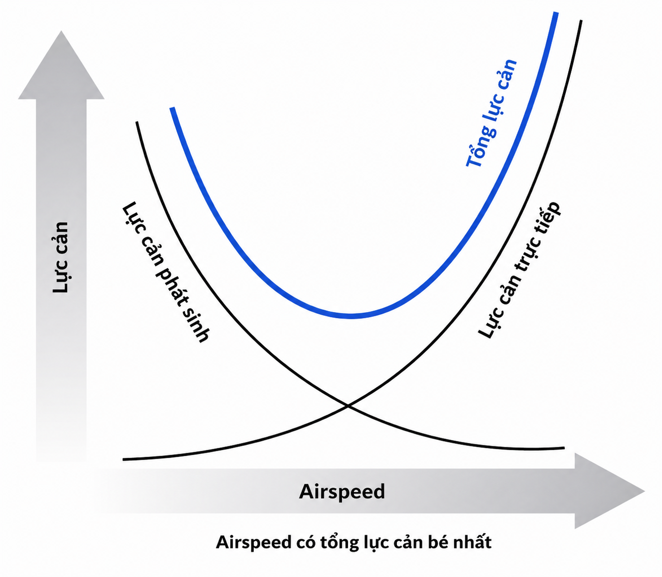 Flight Theory: Why Does a Paraglider Wing Fly?