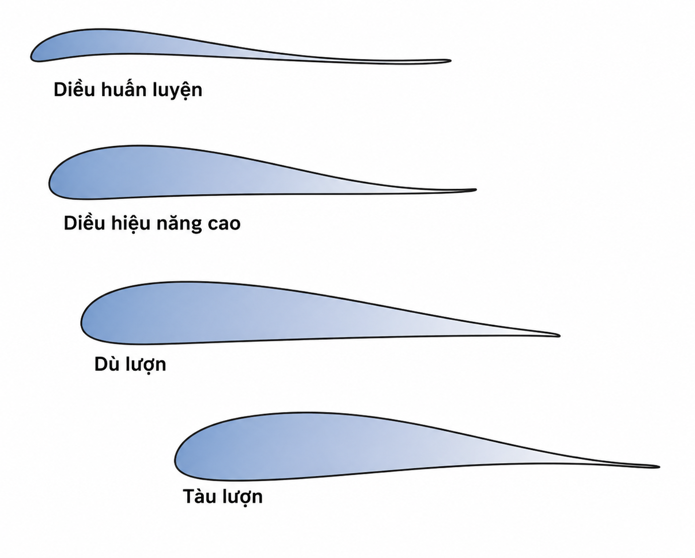 Flight Theory: Why Does a Paraglider Wing Fly?