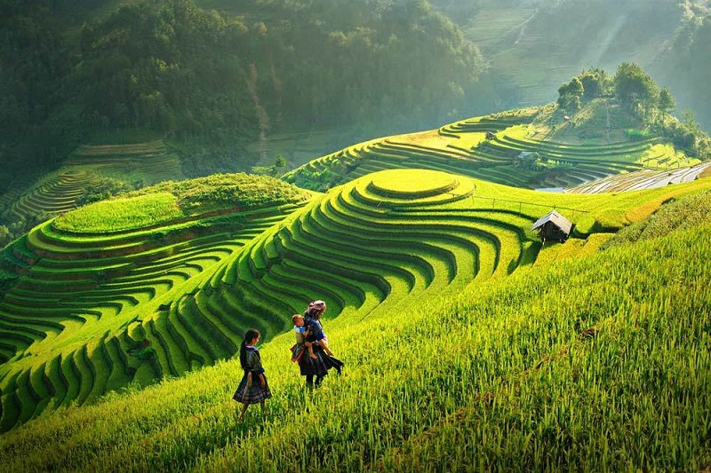 Sa Pa Summer Festival 2026 – A Highlight Destination in Northwest Vietnam