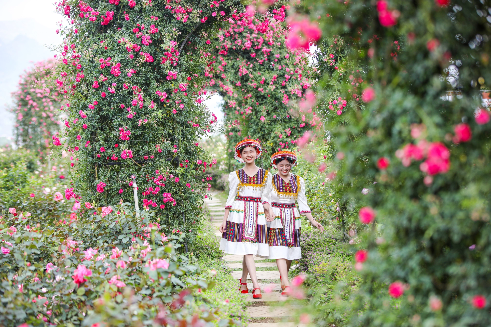 Sa Pa Summer Festival 2026 – A Highlight Destination in Northwest Vietnam