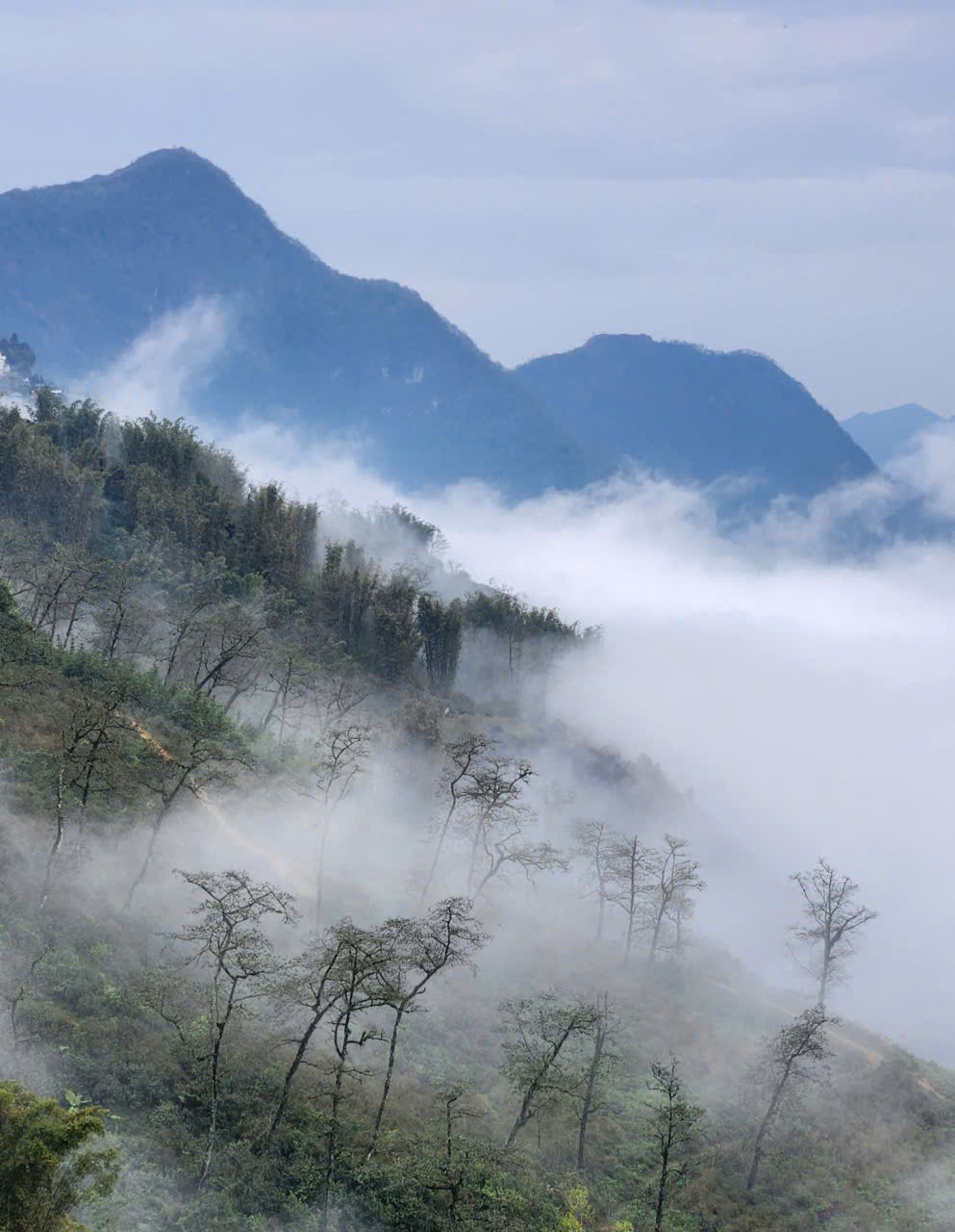 Weather Characteristics in Sa Pa and Their Impact on Paragliding Conditions
