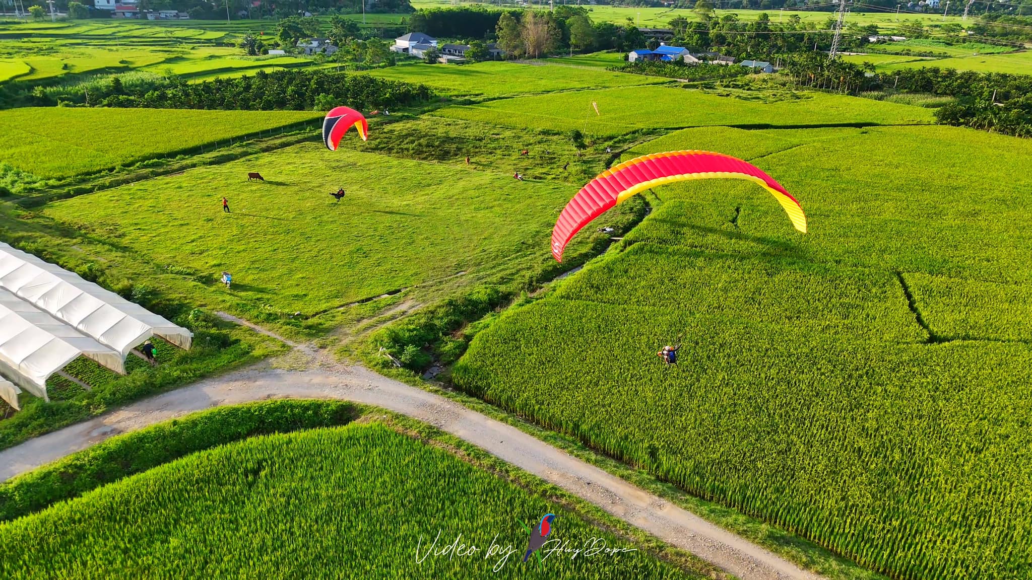 Weather Characteristics in Sa Pa and Their Impact on Paragliding Conditions