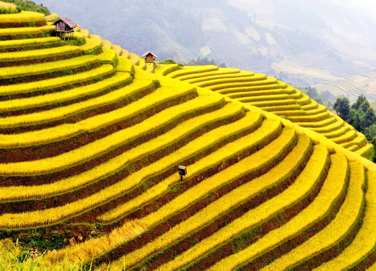 Sapa Weather in July, August & September