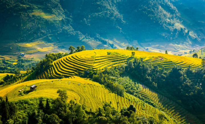 Sapa Weather in July, August & September