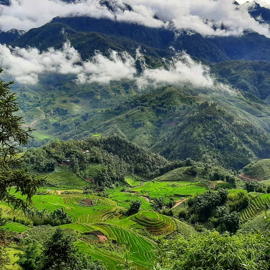 Sapa Weather in July, August & September