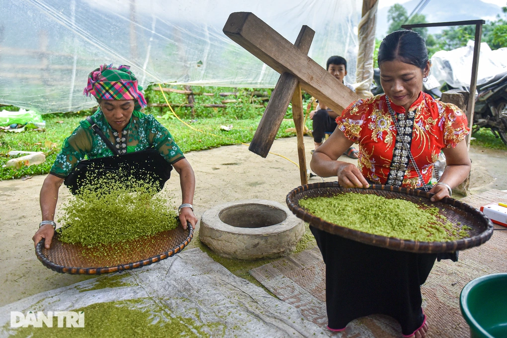 Cốm Tú Lệ giã tay — thơm dẻo nức tiếng miền Bắc, ngon nhất vào đúng dịp lễ hội cuối tháng 8.