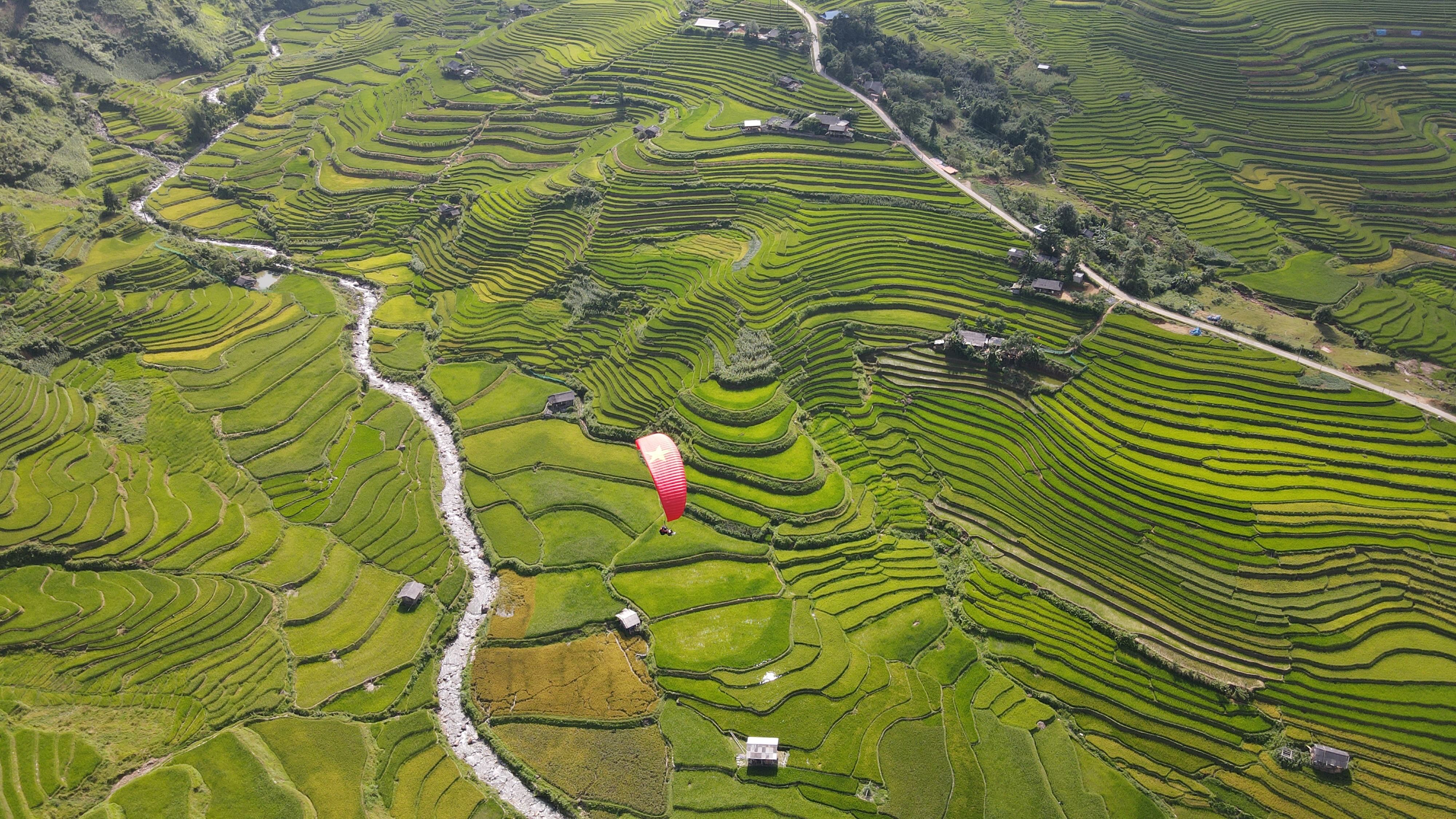 June's green rice spreading across the Lim Mong valley.