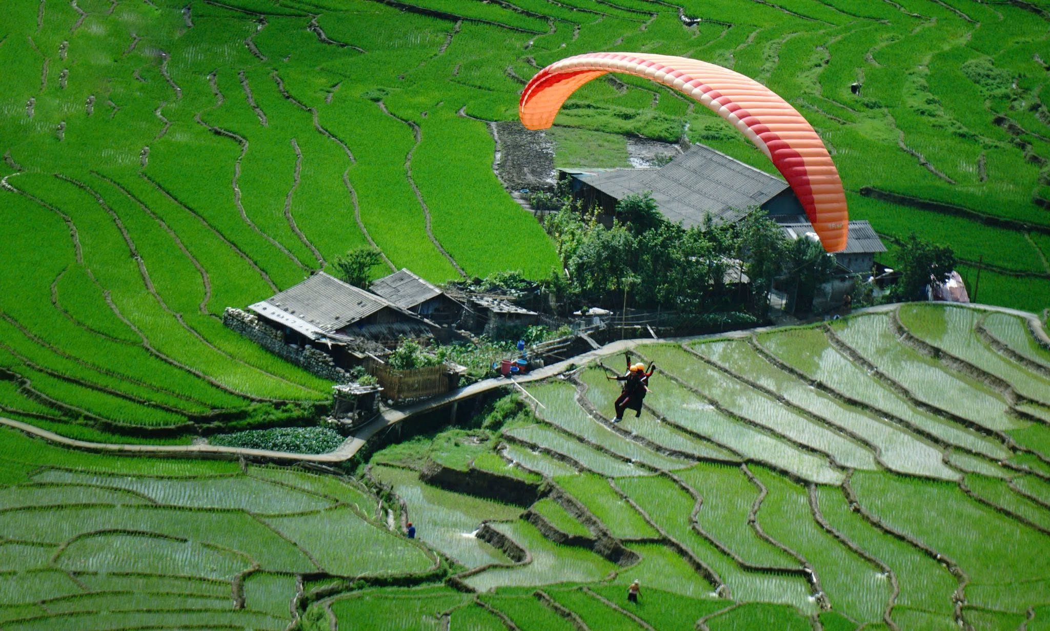 Muong Hoa terraced rice fields seen from above during a Sapa paragliding flight
