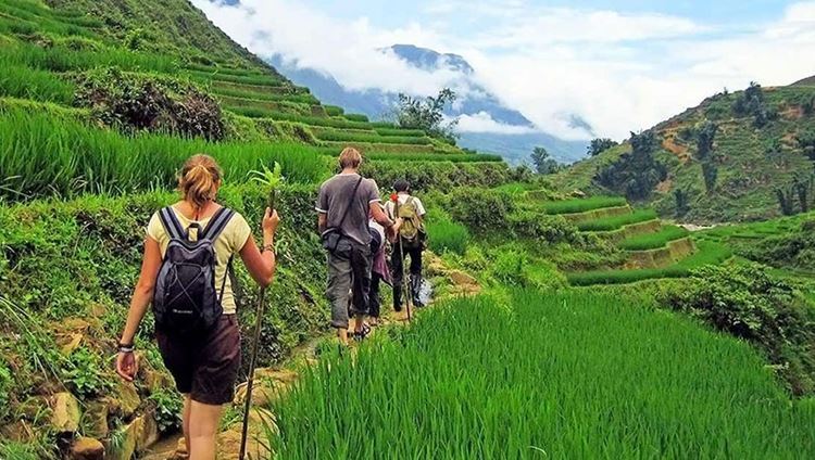 Trekking through Lao Chai and Ta Van village