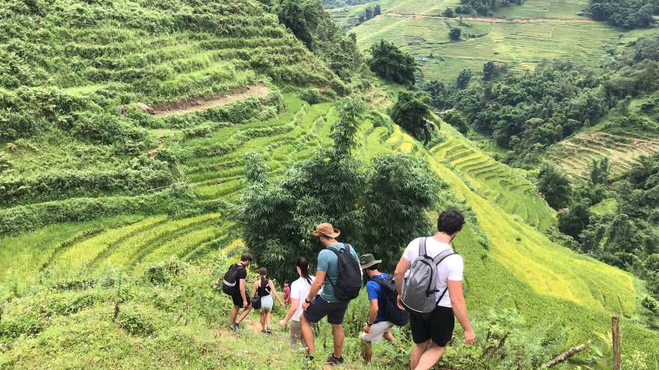 Sapa Paragliding + Lao Chai Trekking: A 1-Day Itinerary in Muong Hoa (2026)