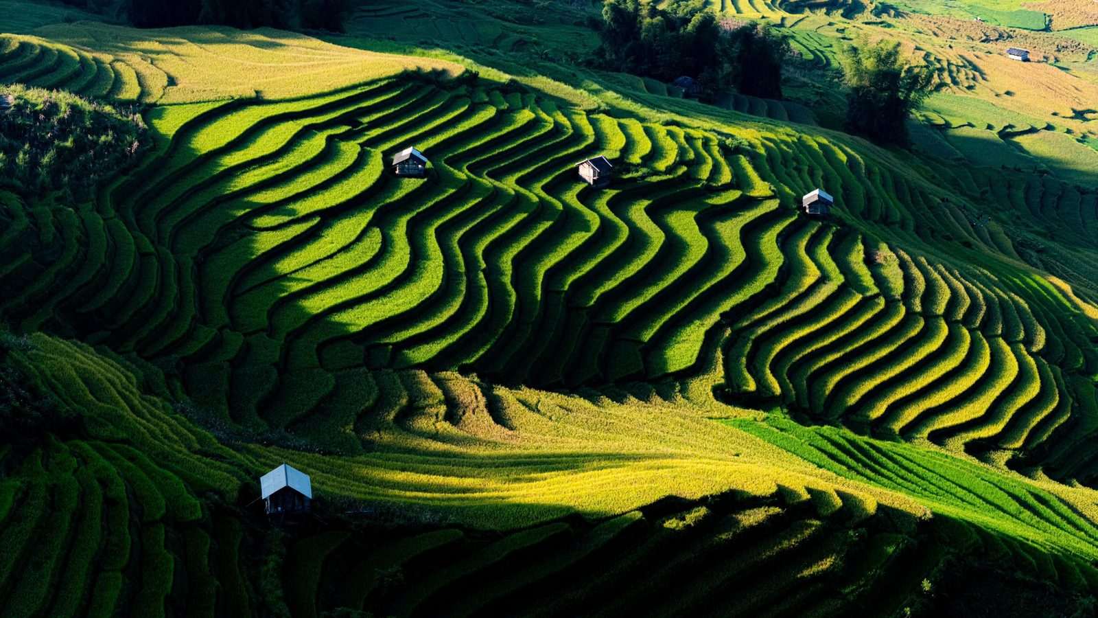 Ruộng bậc thang Mù Cang Chải – Tú Lệ, đẹp bậc nhất Tây Bắc và được xếp hạng di tích danh thắng quốc gia