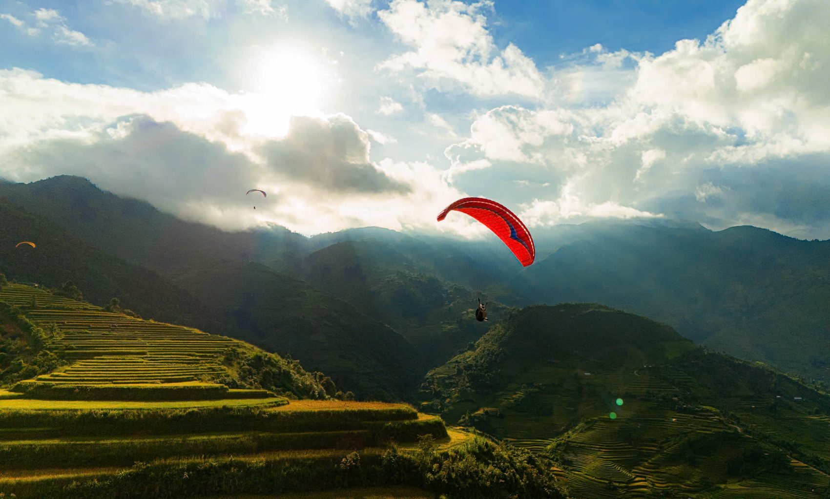 Dù lượn bay giữa mùa vàng ở Khau Phạ — ruộng bậc thang chín vàng trải dài dưới cánh dù
