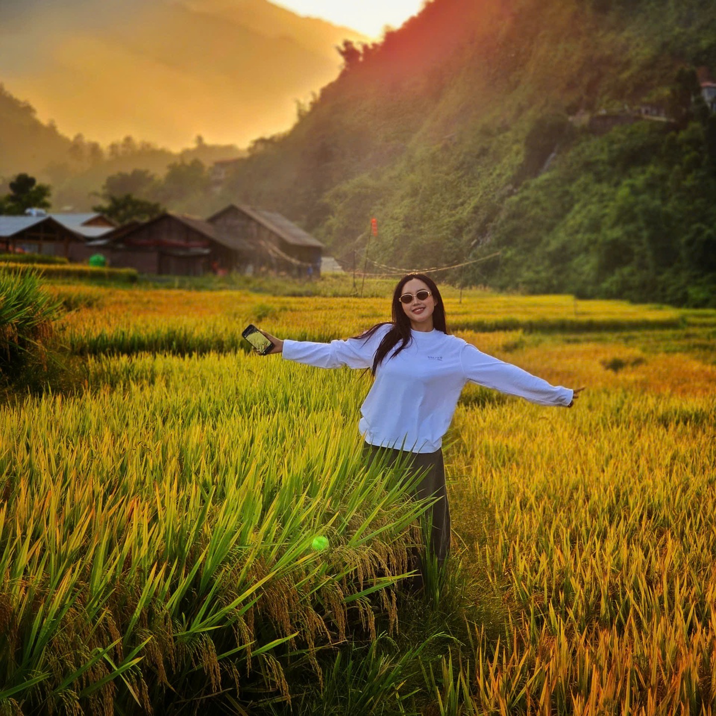 Traveller standing in ripe rice fields in Muong Hoa Valley in late afternoon