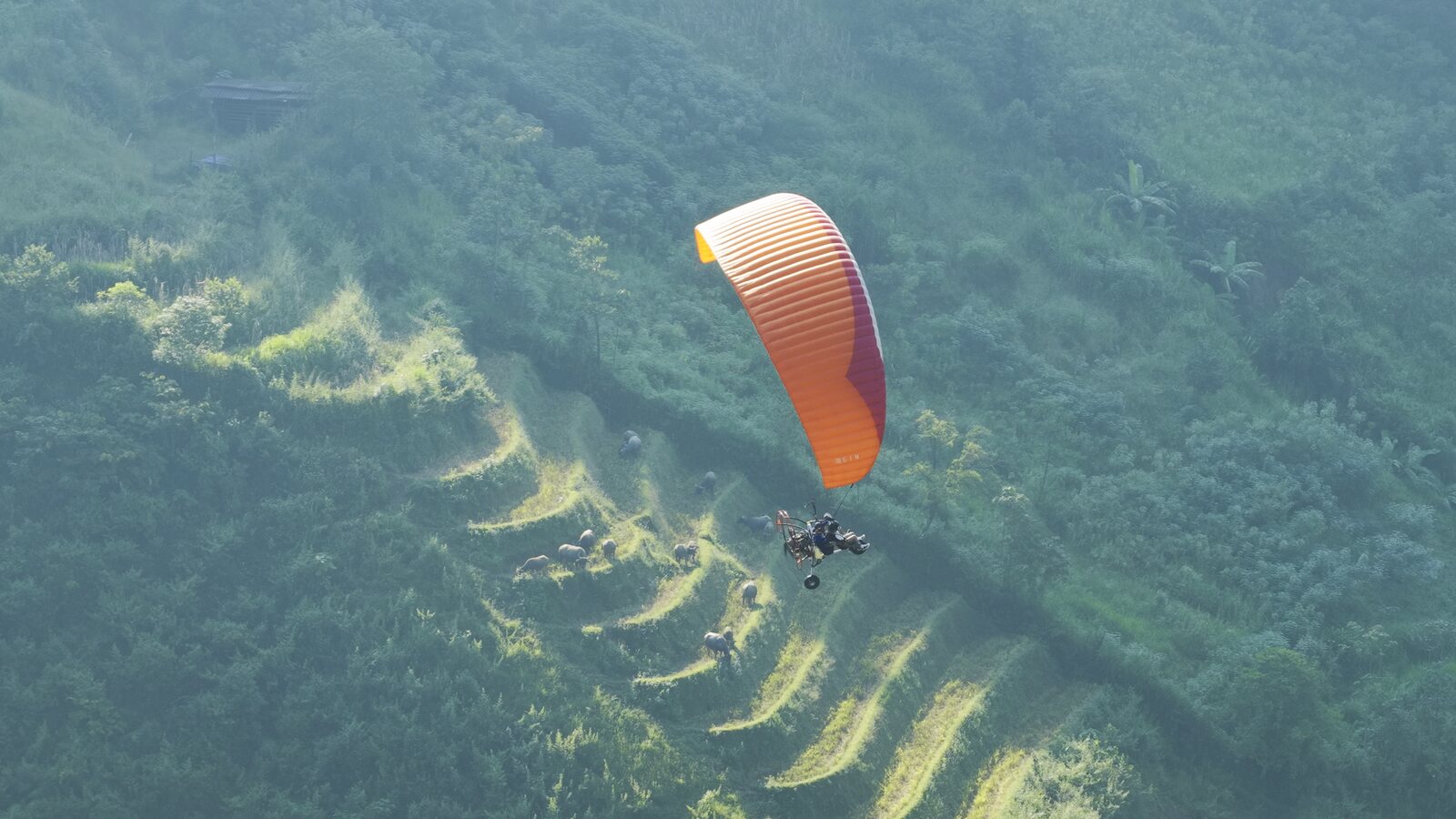 Paramotor at Khau Pha: Powered Paragliding in Mu Cang Chai — 2026 Prices, 10–25 Minute Flights, Cloud and Sunset - 6