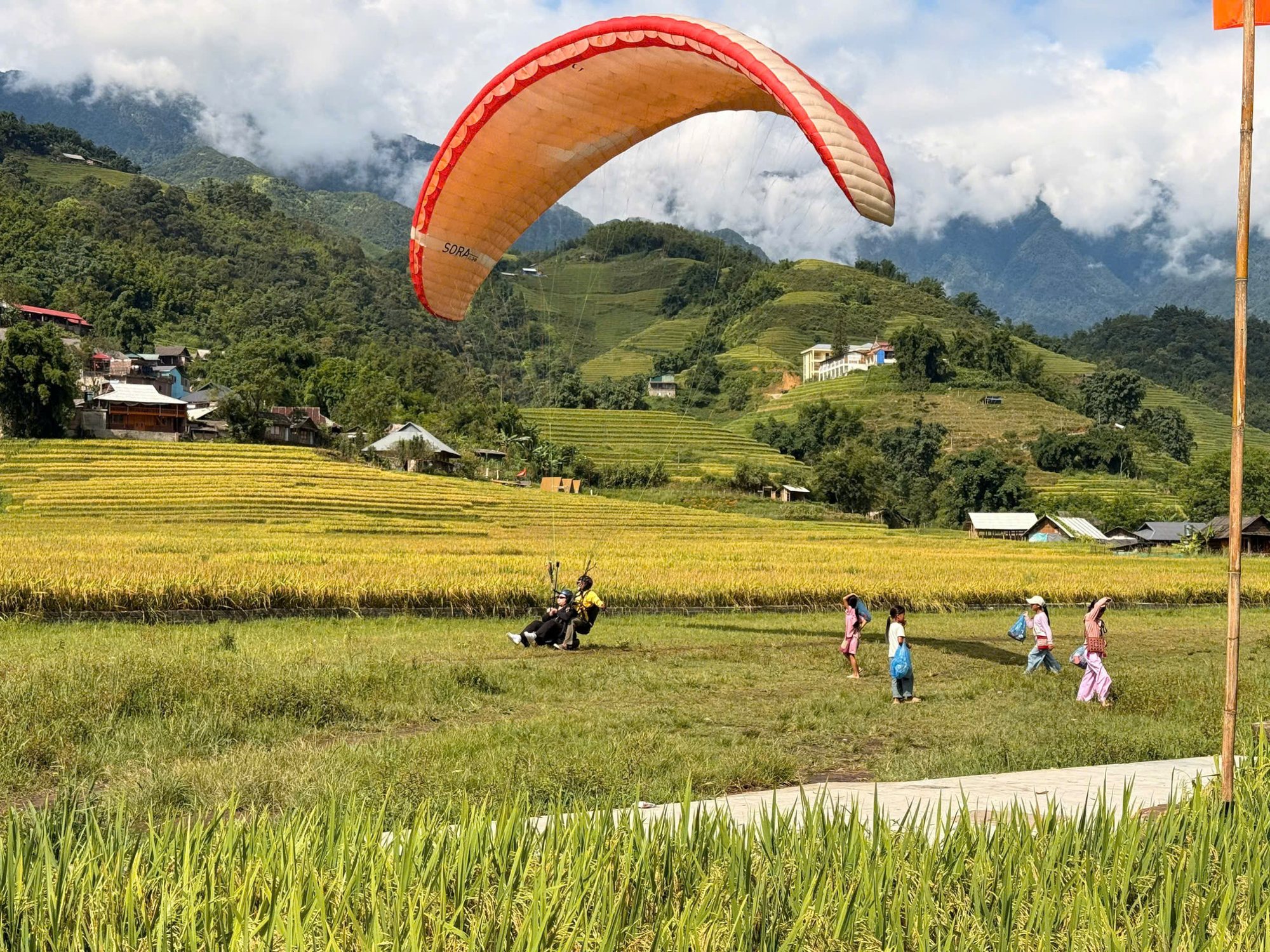 Dù lượn đôi hạ cánh trên ruộng lúa chín bản Lao Chải