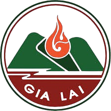 Bệnh viện đa khoa TP Pleiku