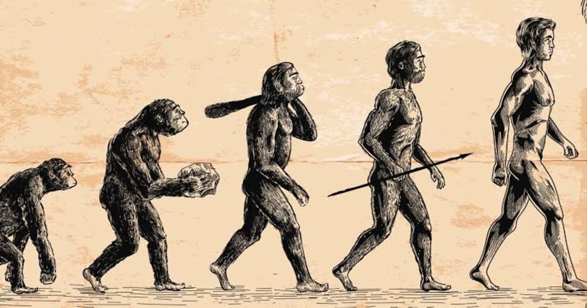 Neandertal Kökenli Büyüme Hormonu Reseptörü ve Modern İnsanlarda Kas Kütlesine Etkisi