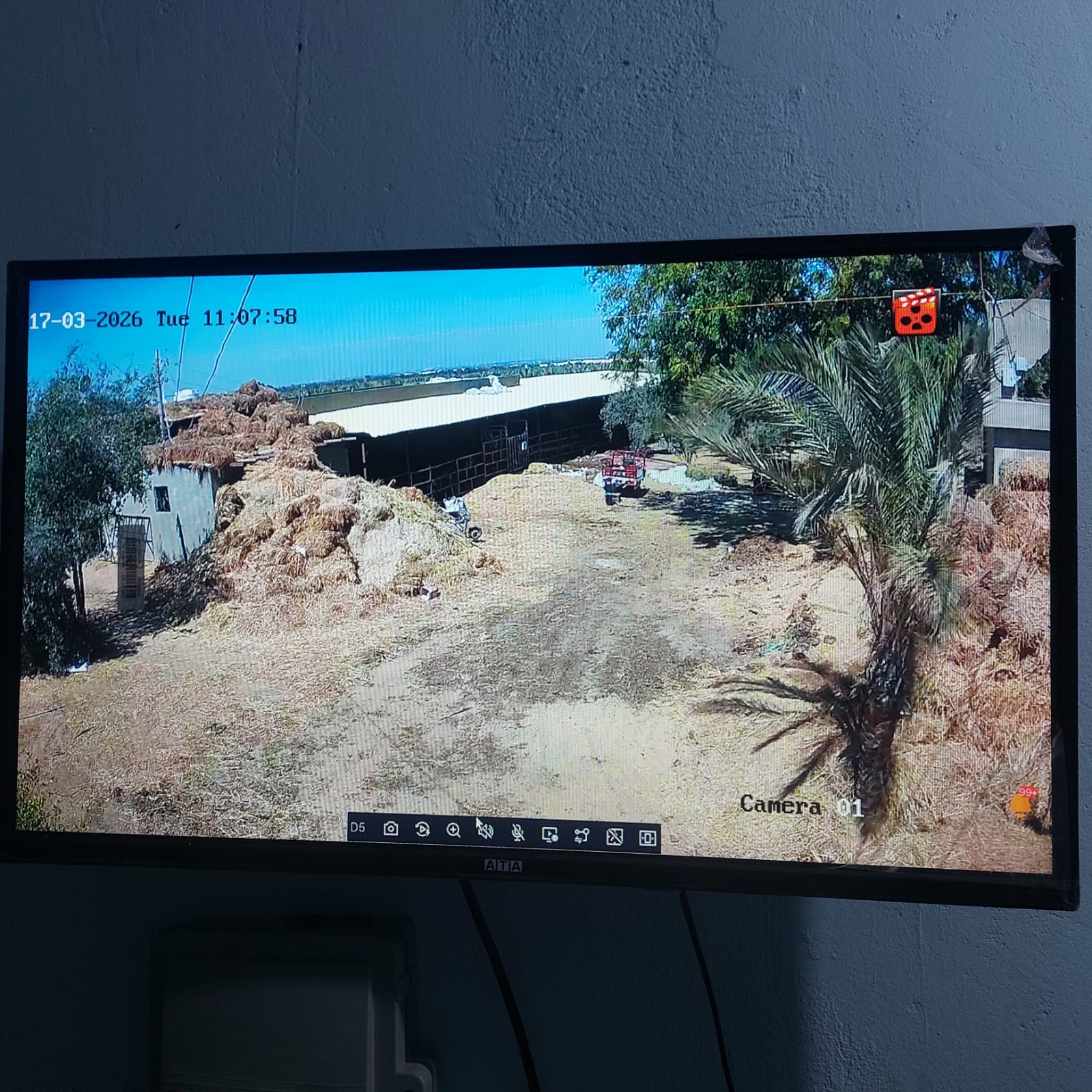 مزرعه م / احمد فتحي