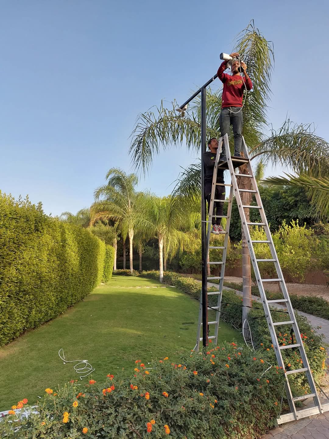 مصر ايطاليا