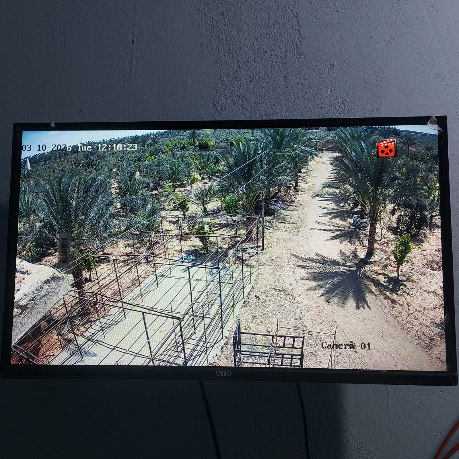 مزرعه م احمد فتحي