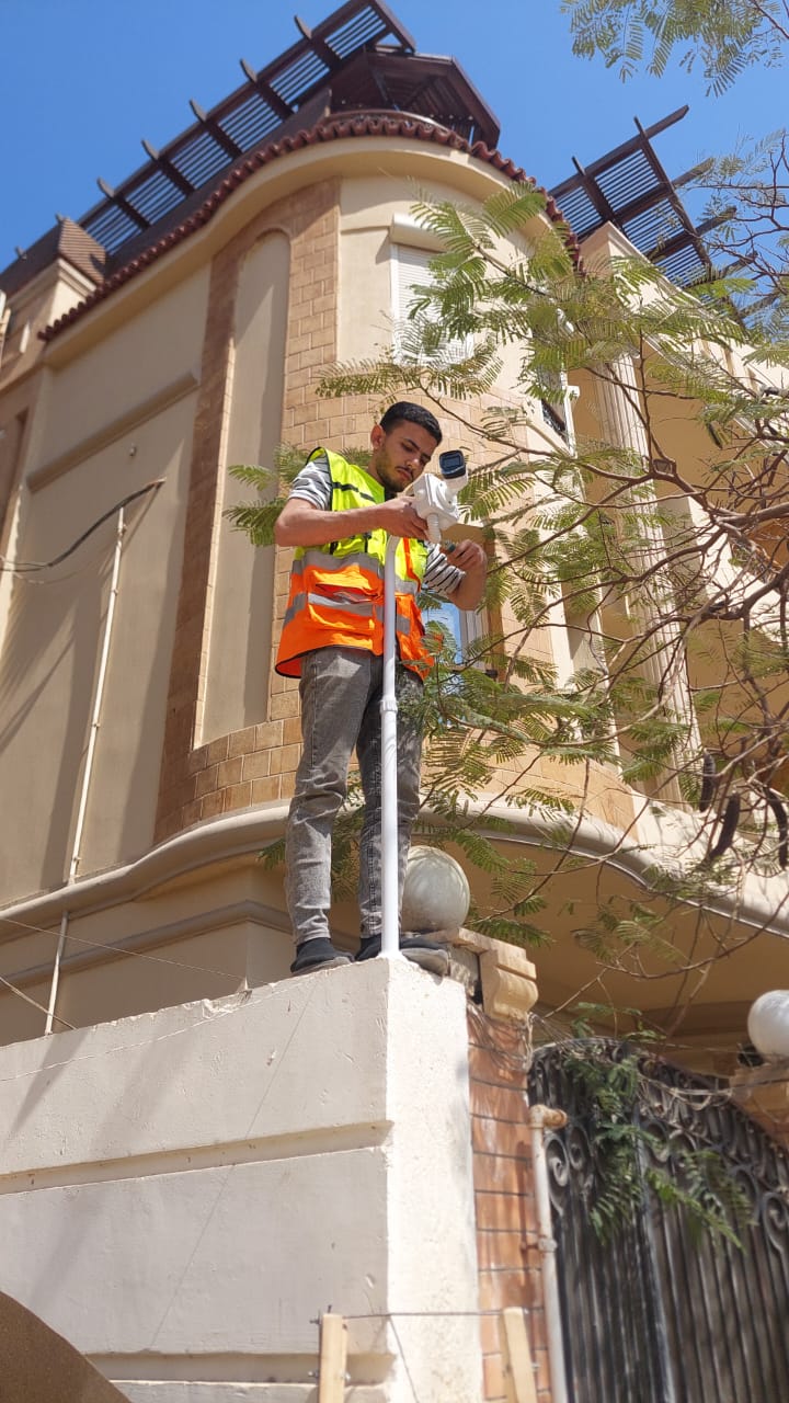 ماس فود انترناشونال