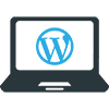 best wordpress developers