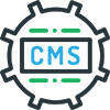 Wordpress developer