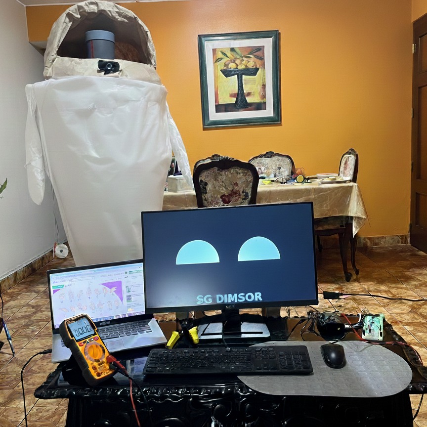 Dimsor - Robot de Apoyo Emocional