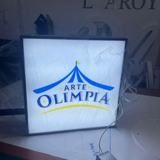 caja-luminosa-rotulos-learoy