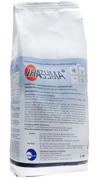 Іназума, ВГ